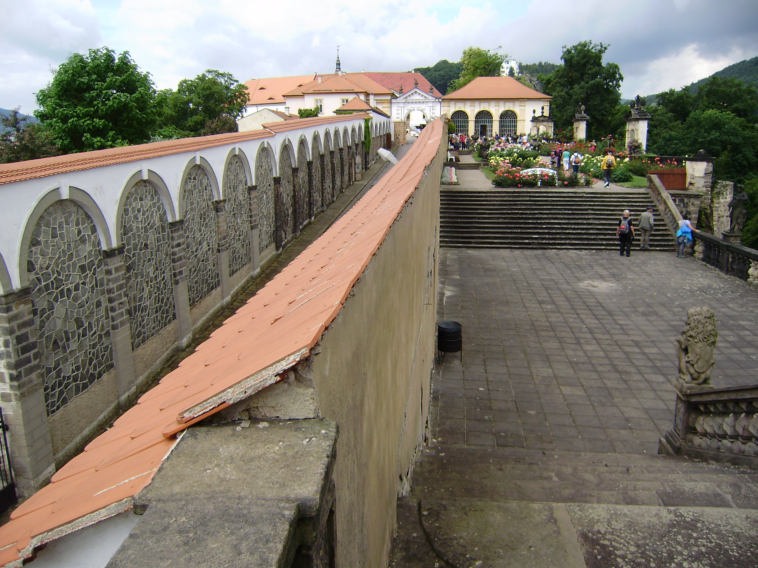 P9050784